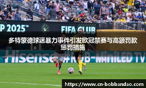 多特蒙德球迷暴力事件引发欧冠禁赛与高额罚款惩罚措施